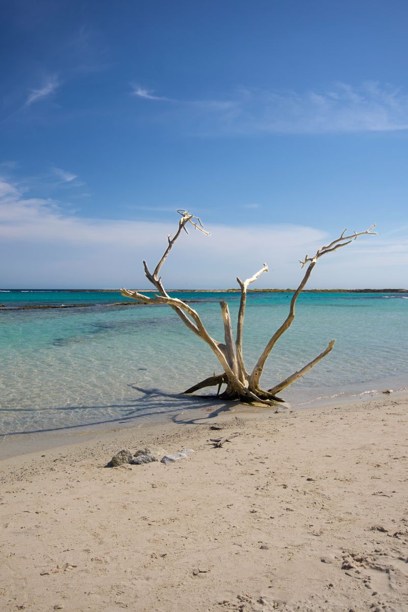Aruba, Caribe Neerlandés