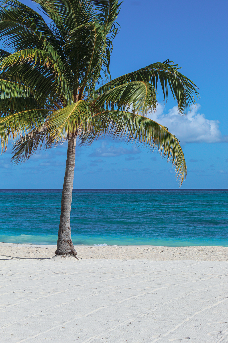 Jamaica, Caribe